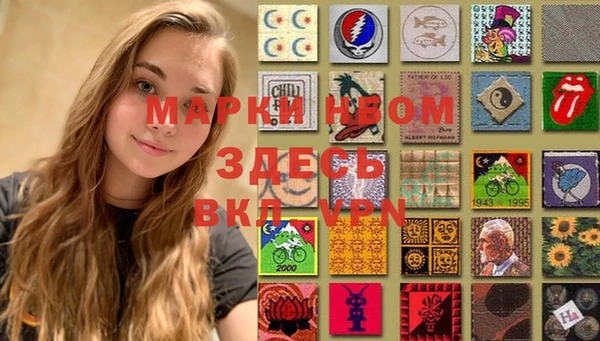шишки Каменка