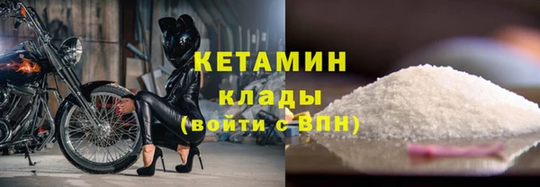 шишки Каменка