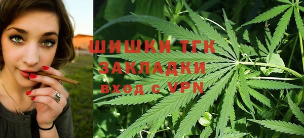 шишки Каменка