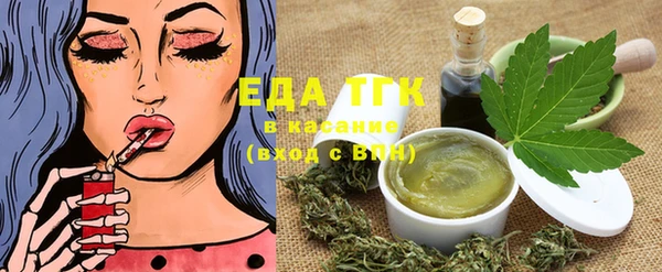 шишки Каменка