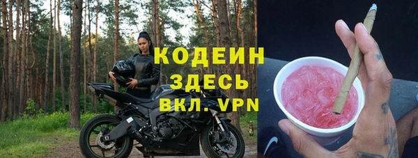 шишки Каменка