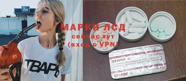 шишки Каменка