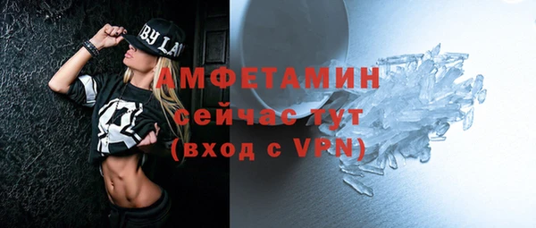 шишки Каменка